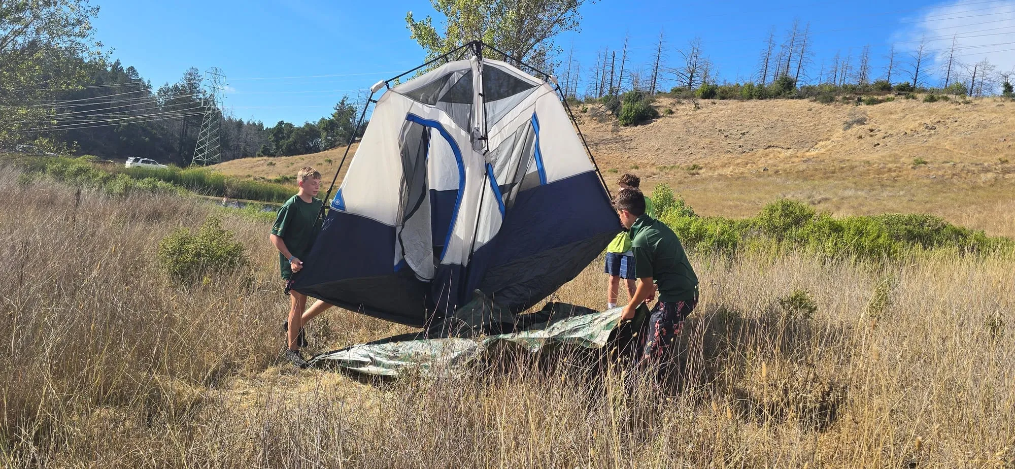 Scouts work together to raise a large tent in a field of tall golden grass.